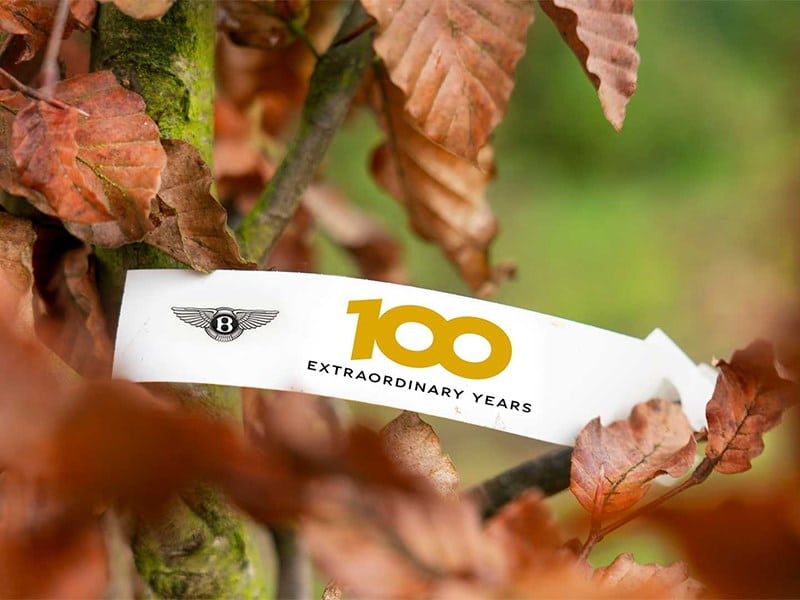 У Bentley зайнялися розведеннями дерев