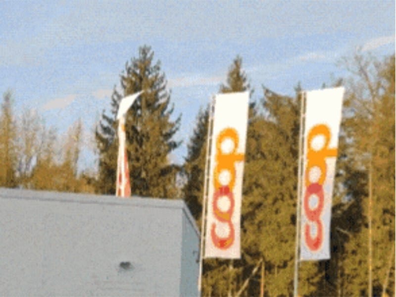 Coop