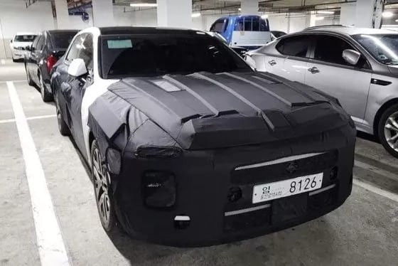 Hyundai Grandeur комуфляж