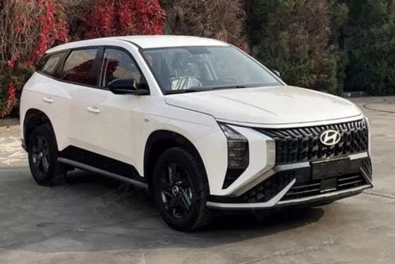 Hyundai Mufasa