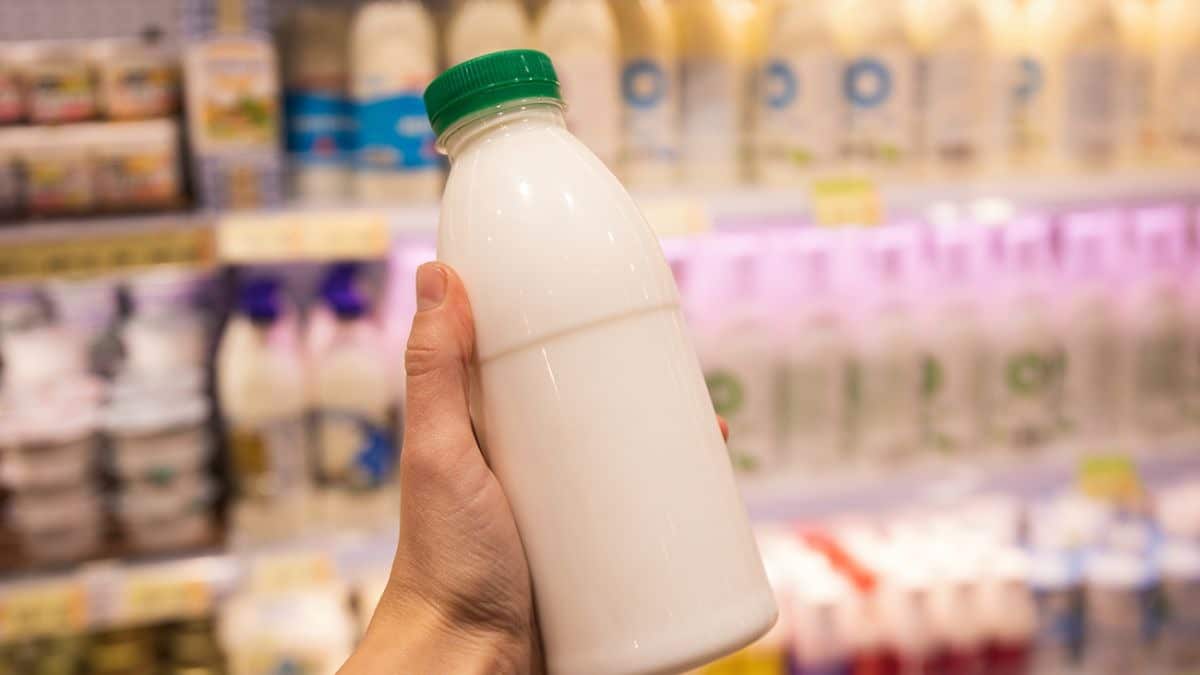 Стало відомо, скільки відсотків молочної продукції є фальсифікованою в Україні молочна продукція