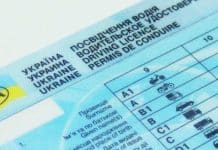 Перевірте своє водійське посвідчення: в Україні є штраф 3400 грн за неправильну категорію водійські права