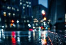 Обережно – осінь: на що звернути увагу недосвідченим водіям