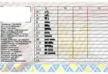 Безстрокові водійські права анулюють в Україні: чого чекати від нового законопроєкту Безстрокові водійські права