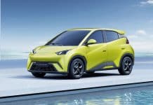 Топ-6 найкращих нових автомобілів, які вийдуть у 2025 році BYD Dolphin Mini