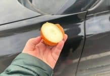 Як позбавитися проблеми замерзлих вікон в автомобілі за допомогою цибулі цибуля та авто