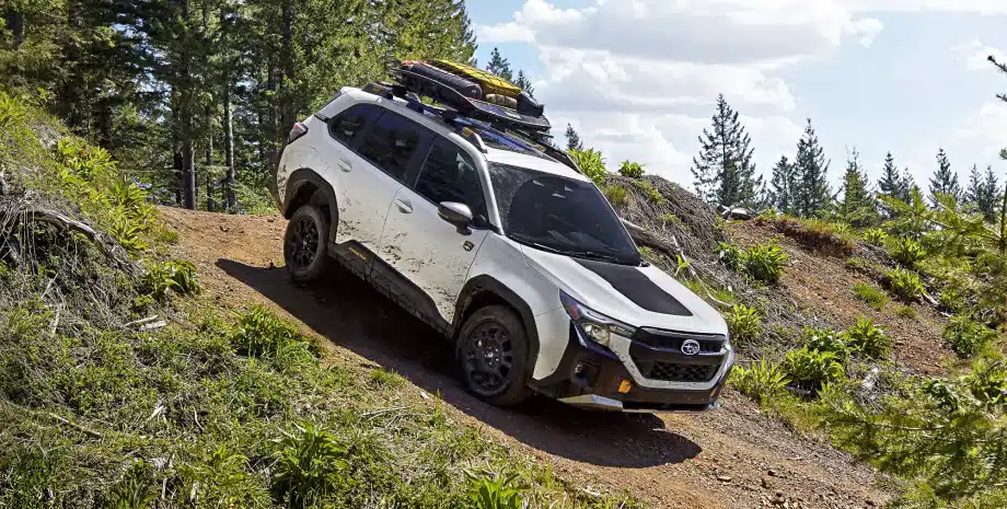 Subaru Forester Wilderness
