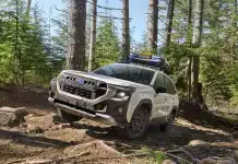 Новий Subaru Forester готовий до бездоріжжя завдяки новій версії Wilderness (фото) Subaru Forester Wilderness